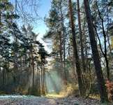 Hundeauslaufgebiet-Niehorst-Bild