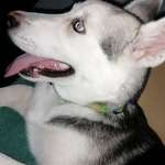 Ersteller:in Harry Profilbild