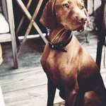 Ersteller:in Christian Profilbild