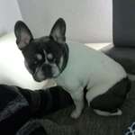 Ersteller:in M. Profilbild