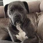 Ersteller:in Sherin Profilbild