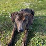 Ersteller:in Murat & Nina Profilbild