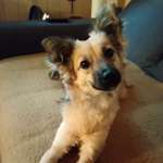 Ersteller:in Andre Profilbild