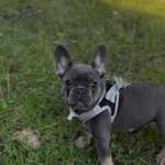 Ersteller:in Jasmin Profilbild