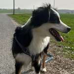 Ersteller:in Sophia Profilbild