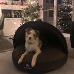 Ersteller:in Jana Profilbild