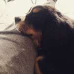 Ersteller:in Sandra Profilbild