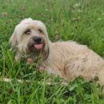 Ersteller:in Jacqueline Profilbild