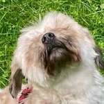 Ersteller:in Steffi Profilbild