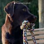 Ersteller:in Lotta Profilbild