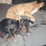 Ersteller:in Kashi1610 Profilbild