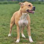 Ersteller:in Laura Profilbild