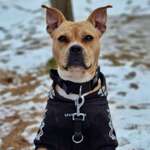 Ersteller:in Laura Profilbild