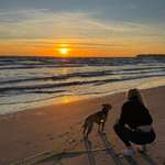 Ersteller:in Laura Profilbild