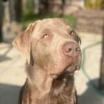 Ersteller:in Luisa Profilbild