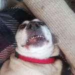 Ersteller:in Einfach Profilbild