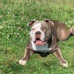 Ersteller:in Julia Profilbild