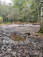 Hundeauslaufgebiet-Kummerfeld-Bild