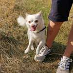 Ersteller:in Lenja Profilbild