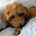 Ersteller:in Nicole Profilbild