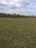 Hundeauslaufgebiet-Große Wiese am Schäferhund Verein-Bild