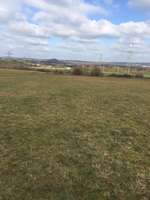 Hundeauslaufgebiet-Große Wiese am Schäferhund Verein-Bild