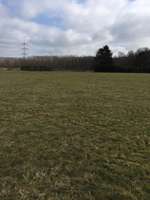 Hundeauslaufgebiet-Große Wiese am Schäferhund Verein-Bild