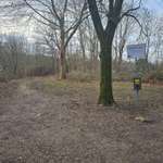 Hundeauslaufgebiet-Thiesbürgerweg-Bild