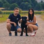 Ersteller:in Phaku Profilbild