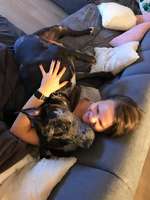 Zeigt eure wunderschönen Doggenmischlinge!!-Beitrag-Bild