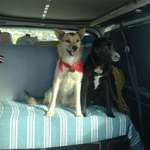 Ersteller:in Valentina Profilbild