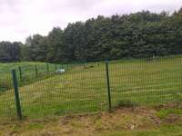 Hundeauslaufgebiet-Hundepark Vechta-Bild