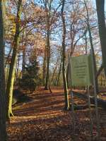 Hundeauslaufgebiet-Ferdinadsburg-Bild