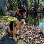 Ersteller:in Dirk Profilbild