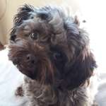 Ersteller:in Antonia Profilbild