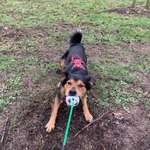 Ersteller:in Gabriela Profilbild