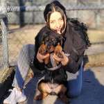 Ersteller:in Deniz Profilbild