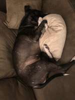 Verzweifelt-Beitrag-Bild