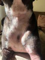 Verzweifelt-Beitrag-Bild