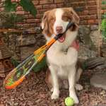 Ersteller:in Michelle Profilbild