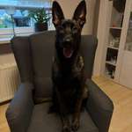 Ersteller:in Nina Profilbild