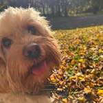 Ersteller:in Mariann Profilbild