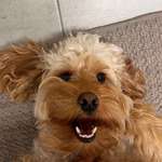 Ersteller:in Mariann Profilbild