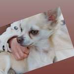 Ersteller:in Sheyenne Profilbild