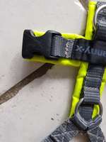 Annyx xxs protect gelb-grau-Beitrag-Bild