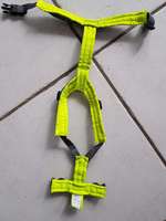 Annyx xxs protect gelb-grau-Beitrag-Bild