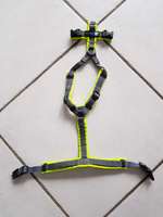 Annyx xxs protect gelb-grau-Beitrag-Bild