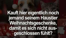 Wer von euch kauft seinem Hund oder anderem Haustier auch ein Weihnachtsgeschenk ?-Beitrag-Bild