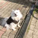 Ersteller:in Michaela Profilbild