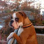 Ersteller:in Christina Profilbild